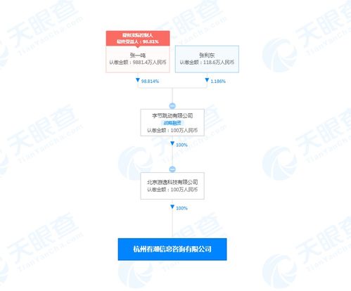 商務(wù)信息咨詢 企業(yè)決策的智慧引擎